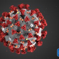 Need Some Distance Learning Ideas for COVID-19?